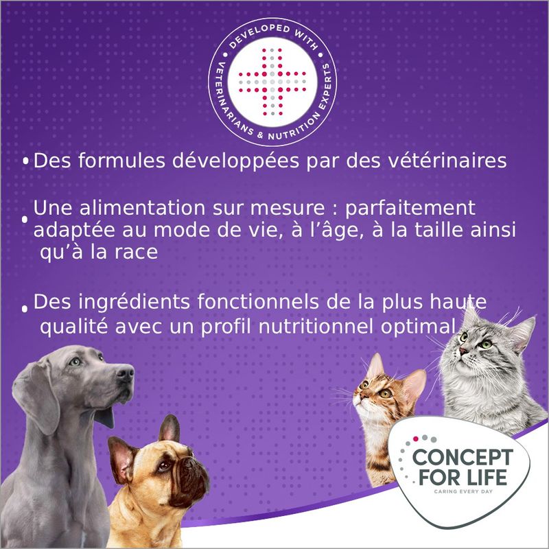 Concept for Life X-Large Adult pour chien
