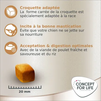 Croquette adaptée, incite à la bonne mastication, acceptation et digestion optimales. Croquette carrée 20 mm. Concept for Life. Avec viande de poulet fraîche et riz.