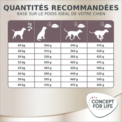 Tableau des quantités recommandées Concept for Life pour chiens de 26 à 40 kg : portions journalières de 300 à 565 g selon le poids et l’activité, basé sur le poids idéal du chien.