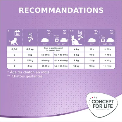 Tableau recommandations Concept for Life : quantités d’alimentation sèche et humide pour chatons (0,5–4 mois) et chattes gestantes selon poids, avec explications en bas de l’image.