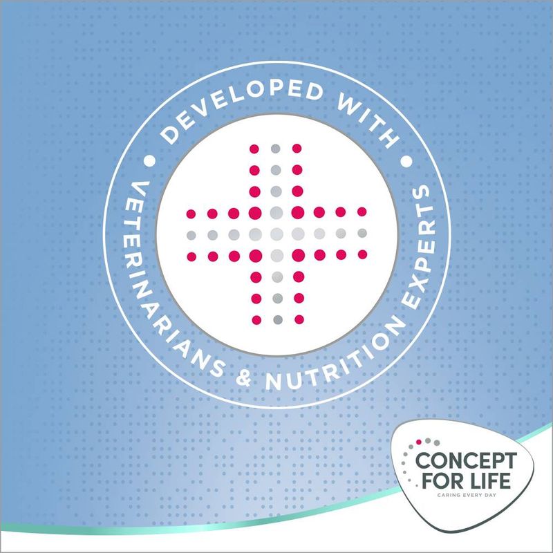 Concept for Life Large Junior