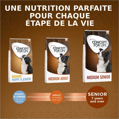 Concept for Life Medium Senior pour chien