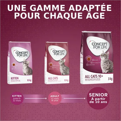 Trois sacs Concept for Life : Kitten 10 kg, All Cats 10 kg, All Cats 10+ 3 kg. Texte : Kitten jusqu’à 12 mois, Adult 12 mois et plus, Senior à partir de 10 ans. Une gamme adaptée pour chaque âge.