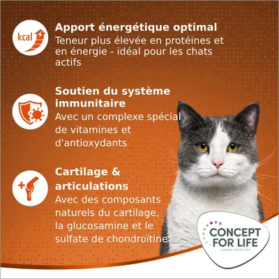 Apport énergétique optimal, soutien du système immunitaire, cartilage & articulations. Concept for Life. Teneur élevée en protéines, complexe vitamines/antioxydants, glucosamine, chondroïtine.