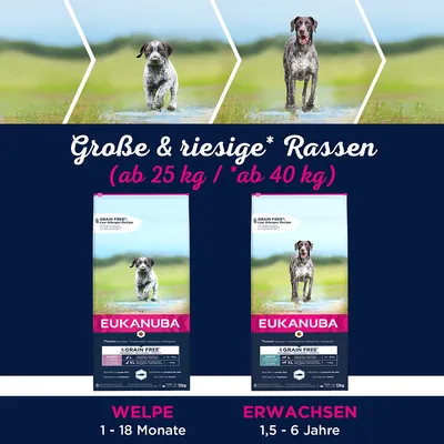 Eukanuba Hundefutter für grosse und riesige Rassen. Welpen: 1-18 Monate, Erwachsene: 1,5-6 Jahre. Grain Free Rezept ab 25 kg bzw. ab 40 kg Körpergewicht.