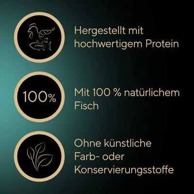 Sheba Filets 16 x 60 g