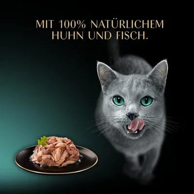 Sheba Filets 16 x 60 g