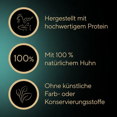 Sheba Filets 16 x 60 g