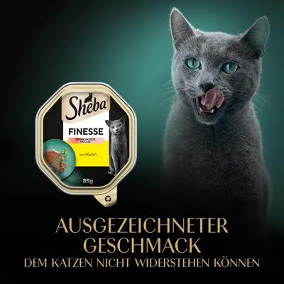 Sheba Finesse Feine Pastete Mousse mit Huhn, 85g. Ausgezeichneter Geschmack, dem Katzen nicht widerstehen können.
