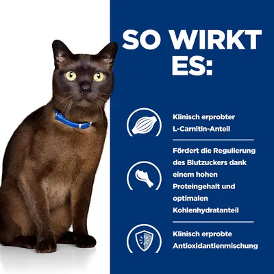 So wirkt es: Klinisch erprobter L-Carnitin-Anteil, fördert die Regulierung des Blutzuckers dank hohem Proteingehalt und optimalem Kohlenhydratanteil, klinisch erprobte Antioxidantienmischung.