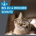 Frontline® Spot on Katze
