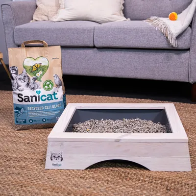 Sanicat Recycled Cellulose litière pour chat, absorbante, emballage à côté d’un bac à litière en bois avec litière sur moquette.