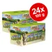 Lot mixte MAC's 24 x 100 g pour chat
