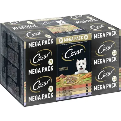 Cesar Mega Pack mit 24 Portionen. 100% komplett und recycelbar. Verschiedene Geschmacksrichtungen, darunter Gemüse und Fleischsorten.