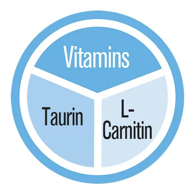 Grafico circolare con testo: Vitamins, Taurin, L-Carnitin.
