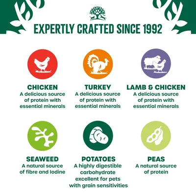 James Wellbeloved Adult Hypoallergenic Grain-Free Cans - Turkey, Lamb & Chicken in Loaf - 12 x 400g James Wellbeloved Adult Hypoallergenic Grain-Free Cans - Turkey, Lamb & Chicken in Loaf - 12 x 400g