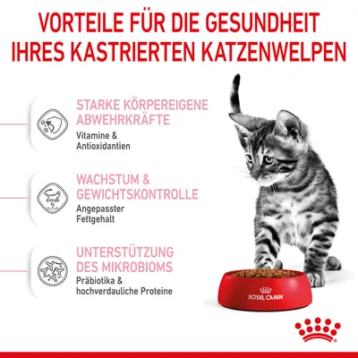 Vorteile für die Gesundheit kastrierter Katzenwelpen: Starke Abwehrkräfte mit Vitaminen & Antioxidantien, Wachstum & Gewichtskontrolle mit angepasstem Fettgehalt, Unterstützung des Mikrobioms.