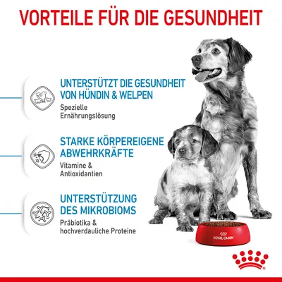 Texte en allemand : VORTEILE FÜR DIE GESUNDHEIT. Avantages pour la santé : soutien des chiennes et chiots, défenses naturelles, microbiome. Royal Canin visible sur la gamelle.
