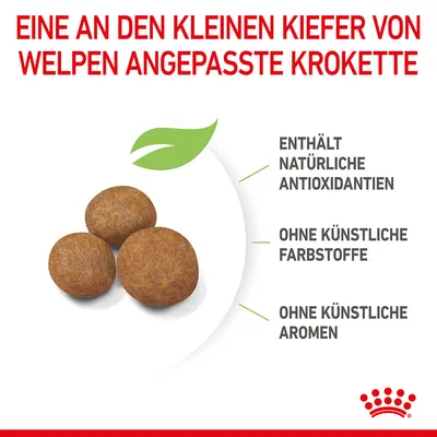 Kroketten für Welpen, angepasst an kleine Kiefer. Enthält natürliche Antioxidantien, ohne künstliche Farbstoffe und ohne künstliche Aromen.