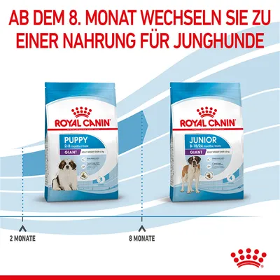 Royal Canin Giant Puppy 2-8 Monate und Junior 8-18/24 Monate. Ab dem 8. Monat wechseln Sie zu einer Nahrung für Junghunde.