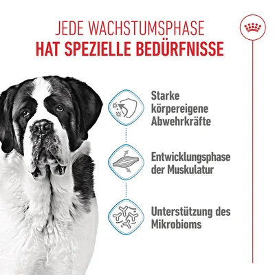 Royal Canin Giant Junior