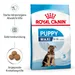 Royal Canin Maxi Puppy
