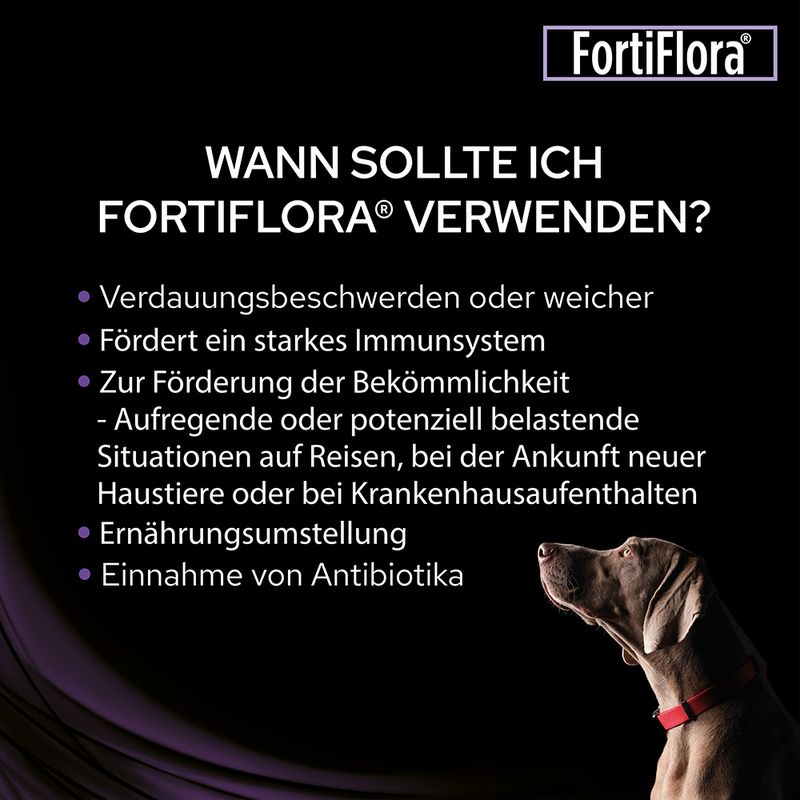 FortiFlora®: Anwendung bei Verdauungsbeschwerden, Immunsystemstärkung, stressigen Situationen, Ernährungsumstellung oder Antibiotikaeinnahme. Hund abgebildet.