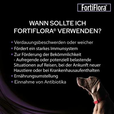 FortiFlora®: Anwendung bei Verdauungsbeschwerden, Immunsystemstärkung, stressigen Situationen, Ernährungsumstellung oder Antibiotikaeinnahme. Hund abgebildet.