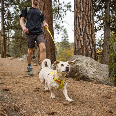 Ruffwear Flagline -talutin
