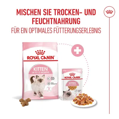 Royal Canin Kitten in Gelee