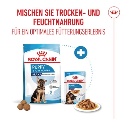 Royal Canin Maxi Puppy in Soße