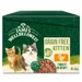 James Wellbeloved Kitten Hypoallergenic Pouches - Turkey in Gravy