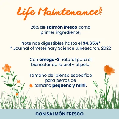 Almo Nature Life Maintenance Adult Small con salmón y arroz Almo Nature Life Maintenance Adult Small con salmón y arroz