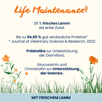 Almo Nature Life Maintenance Adult Lamm & Reis Large Almo Nature Life Maintenance Adult Lamm & Reis Large