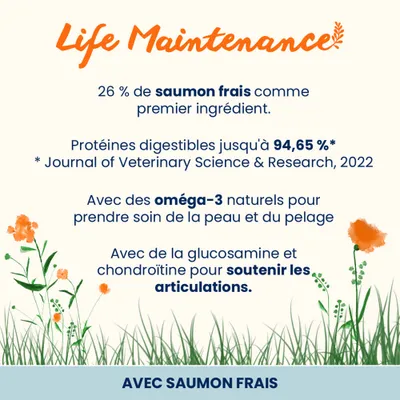 Almo Nature Holistic Adult Large saumon, riz pour chien