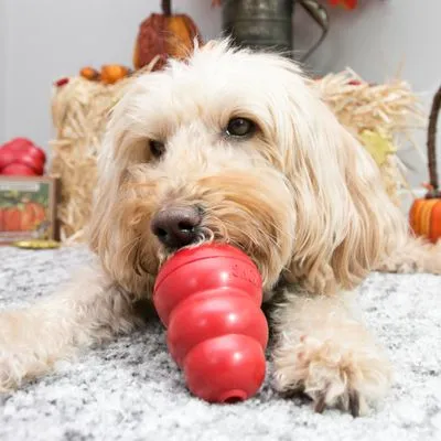 KONG Classic Rood