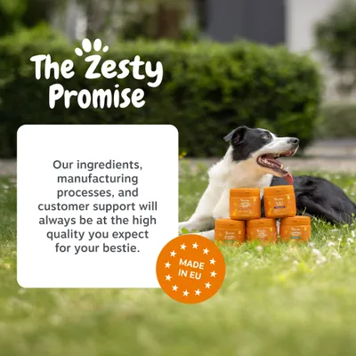 Zesty Paws Hip & Joint Salmon Oil Formula - 250ml Zesty Paws Hip & Joint Salmon Oil Formula - 250ml