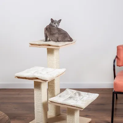 Kratzbaum mit drei Ebenen, Sisalstämmen und gepolsterten Liegeflächen. Graue Katze sitzt auf oberster Ebene.