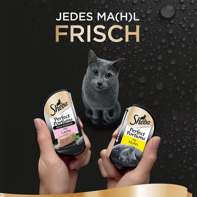 Sheba Perfect Portions Edle Pastete mit Lachs и mit Huhn. На изображении две упаковки корма для кошек в руках, серая кошка и текст на немецком: JEDES MA(H)L FRISCH.