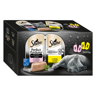 Sheba Perfect Portions Split-Tray, 16 x 37,5 g, pâtée pour chat au saumon et au poulet, visuel de barquettes et d’un chat gris sur l’emballage. Texte en allemand et néerlandais visible.