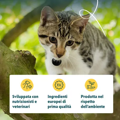 Sviluppato con nutrizionisti e veterinari, componenti europei di qualità premium, prodotto in modo ecologico. Sviluppato con nutrizionisti e veterinari, componenti europei di qualità premium, prodotto in modo ecologico.