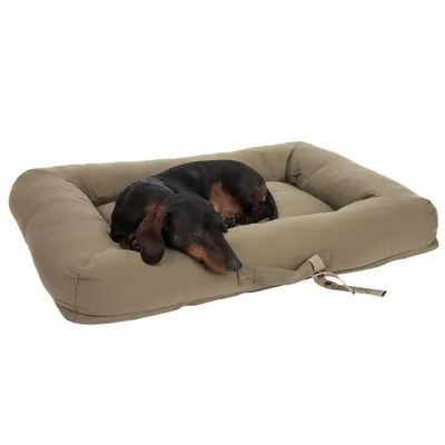 Hund liegt auf einem rechteckigen, braunen Hundebett mit Griff und Labelaufdruck 'Coffee'.