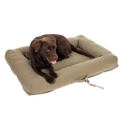Brauner Hund liegt auf einem olivgrünen Hundebett mit Tragegriff und sichtbarem Label 'Ecolife'.