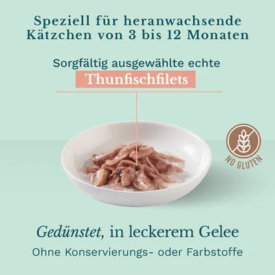 Økonomipakke med Schesir Cat Jelly Pouch 24 x 85 g