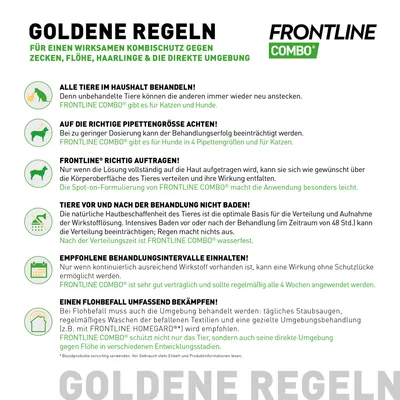 Goldene Regeln für wirksamen Schutz gegen Zecken, Flöhe und Haarlinge mit Frontline Combo. Hinweise zur Anwendung, Dosierung, Badeverbot, Behandlungsintervalle und Umgebungsschutz.