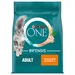 PURINA ONE Adult Pollo & Cereali integrali Crocchette per gatti