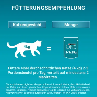 Рекомендация по кормлению для кошек: вес 4 кг — 2–3 пакетика PURINA ONE (2–3×85 г) в день, разделить минимум на 2 приема пищи. Всегда обеспечивать свежую воду.