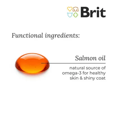 Brit Care Superfruits, łosoś, przysmak dla kota