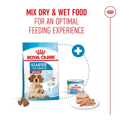 Mix dry and wet food from Royal Canin Starter 1 to 2 Months Medium for an optimal feeding experience.
