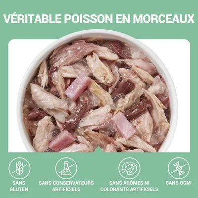 VÉRITABLE POISSON EN MORCEAUX. Sans gluten, sans conservateurs artificiels, sans arômes ni colorants artificiels, sans OGM. Bol de morceaux de poisson visibles.